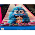 2 Delen 11m Run Cookie Monster