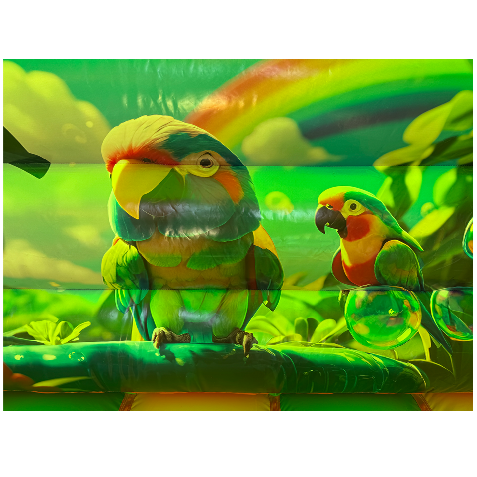 Combo Midi 2 Glijbanen Papegaai Springkasteel