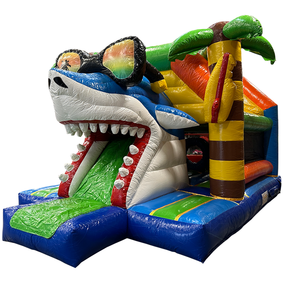 Fframe Midi Surfing Haai 