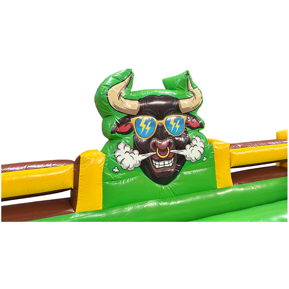 Mechanical Rodeo Bull