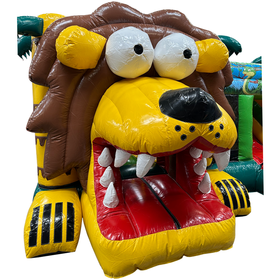 Multiplay Maxi Leeuw Zonder Dak