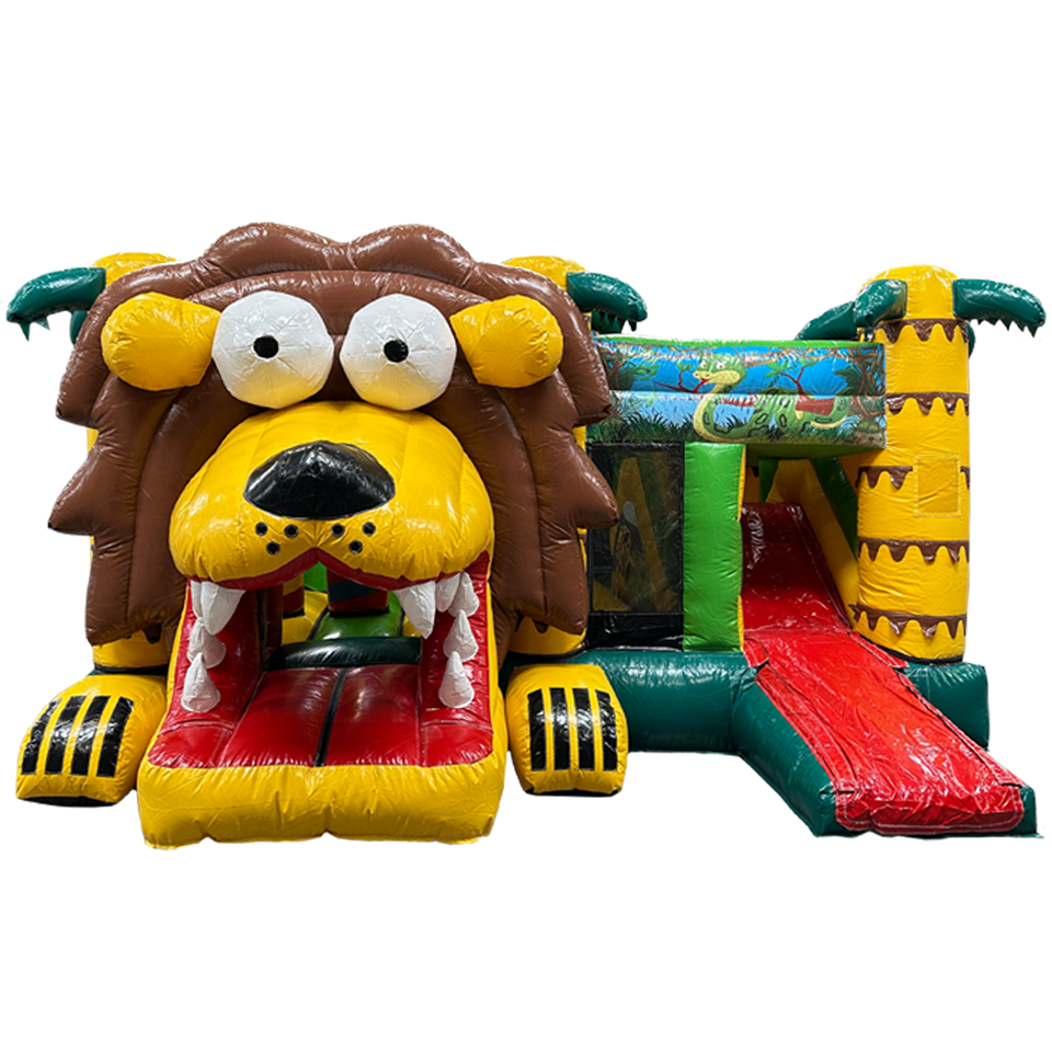 Multiplay Maxi Leeuw Zonder Dak