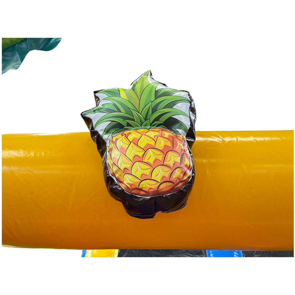 Slide N Play Hawaii