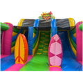 Slide N Play Hawaï