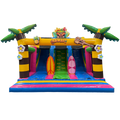 Slide N Play Hawaï