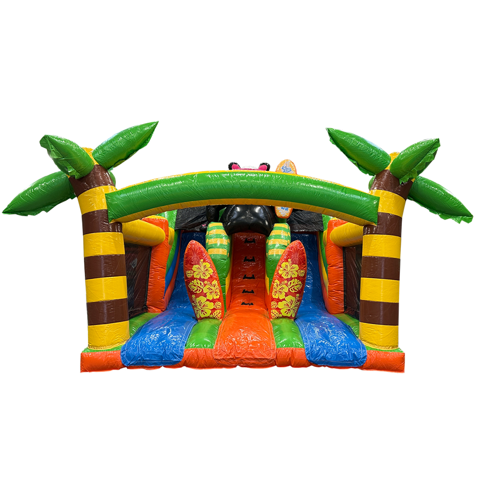 Slide N Play Surfing Panda