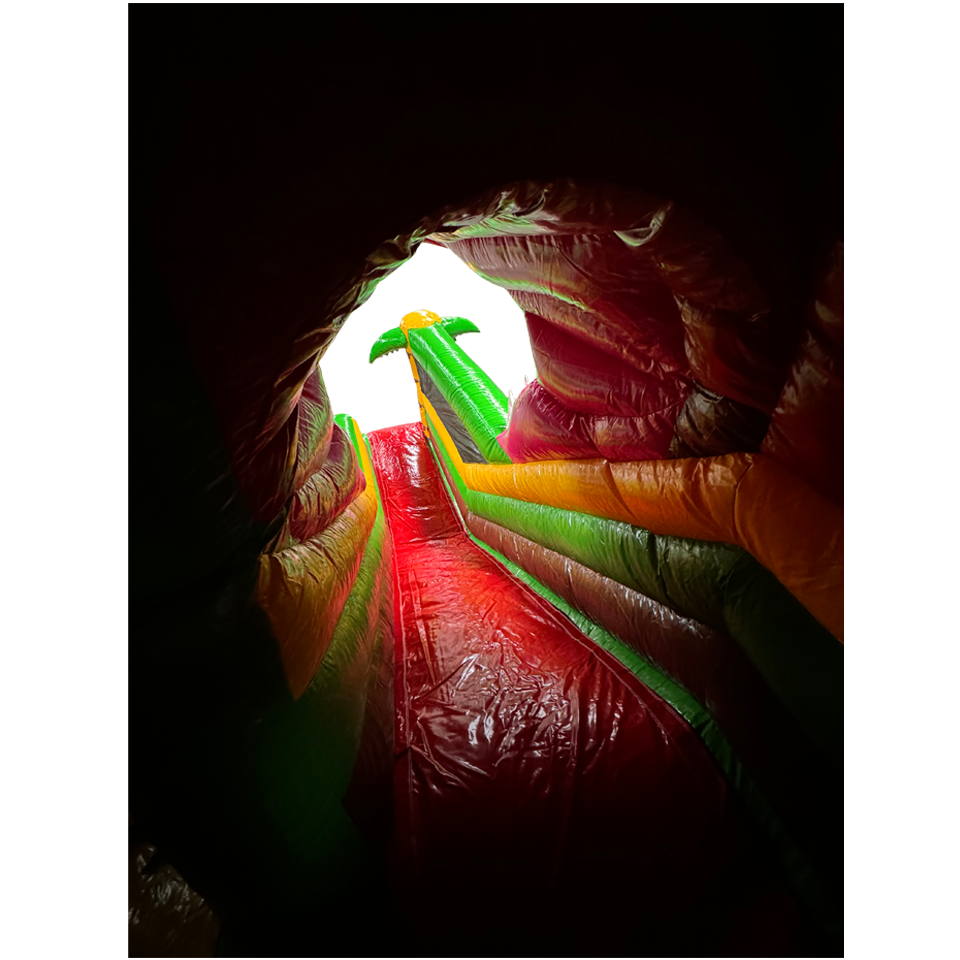 T-Rex Slide