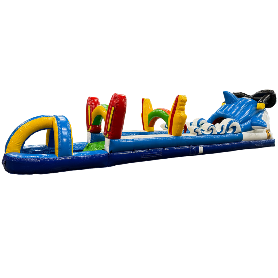 Buikschuifbaan Surfing Haai