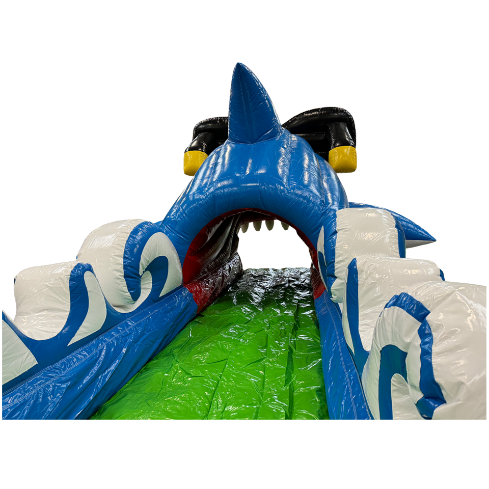 Buikschuifbaan Surfing Haai