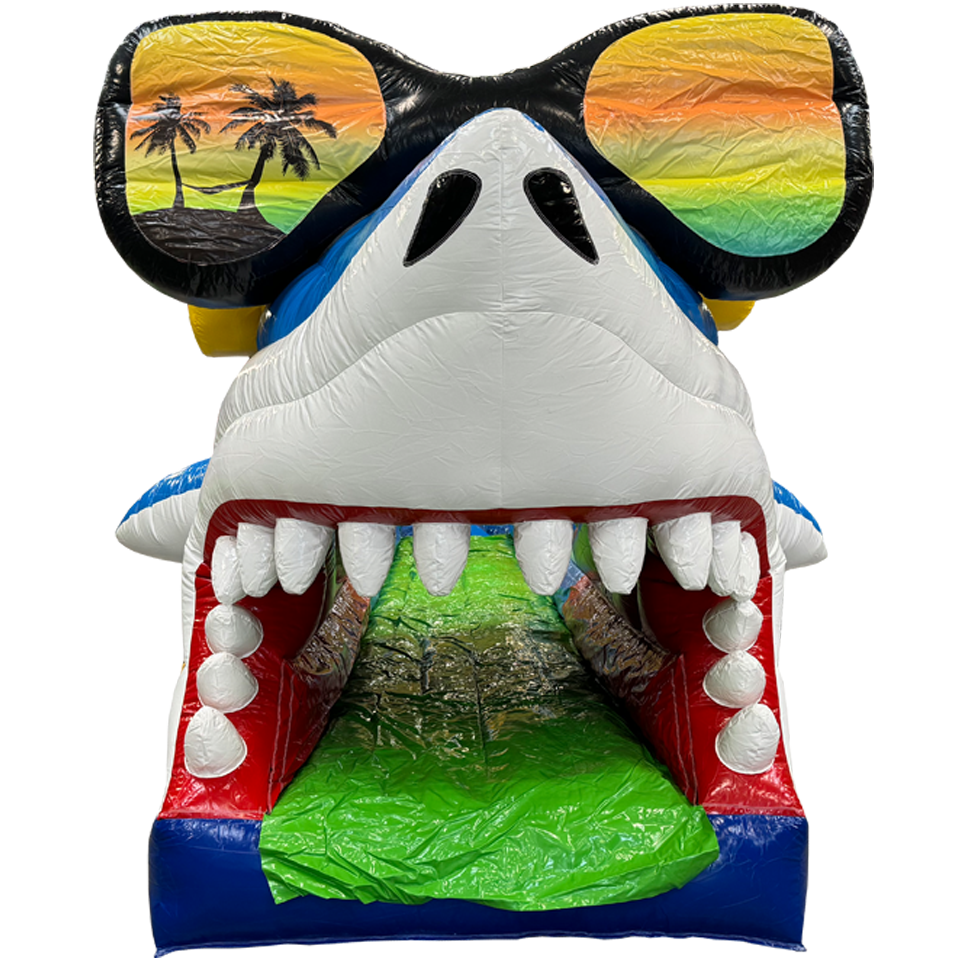 Buikschuifbaan Surfing Haai