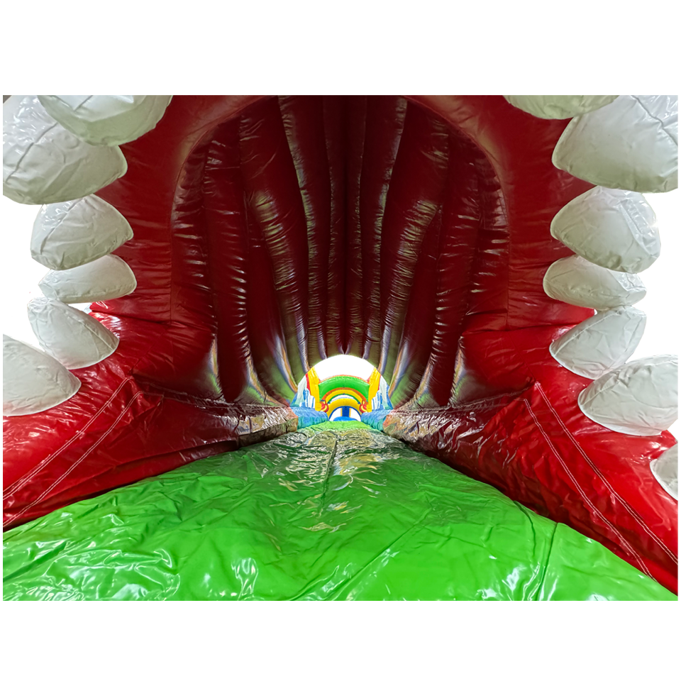 Buikschuifbaan Surfing Haai