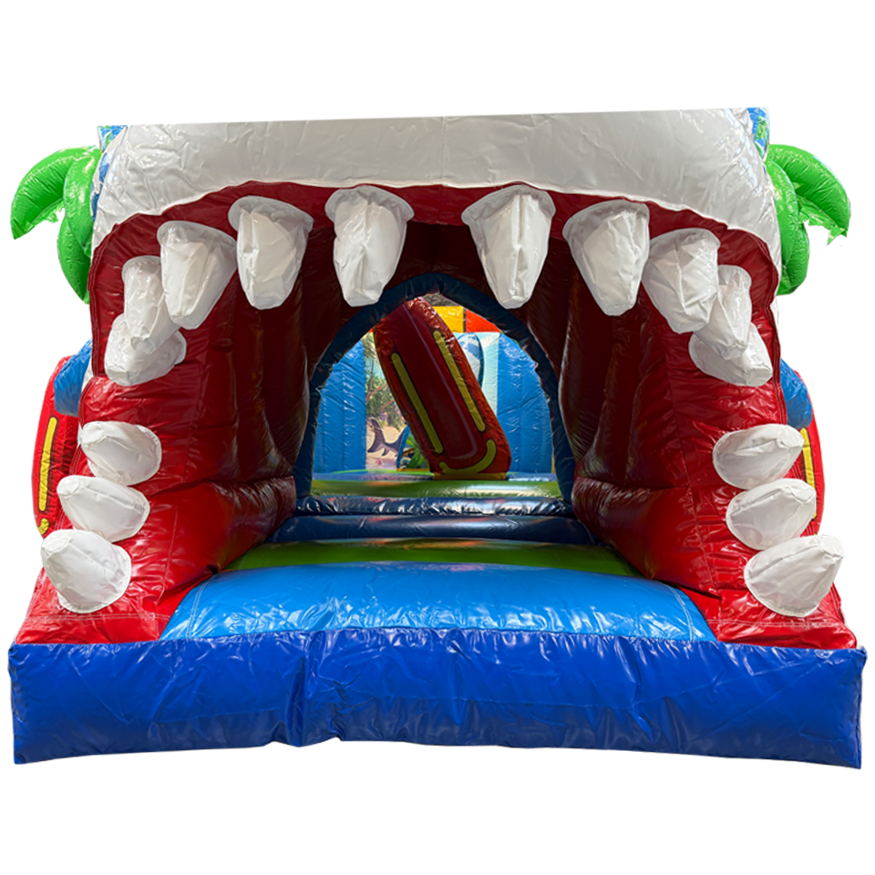 Twist N Slide Surfing Haai