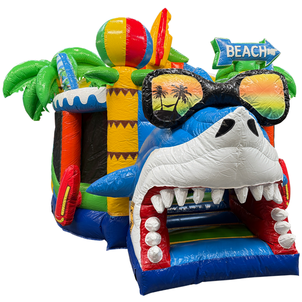 Twist N Slide Surfing Haai