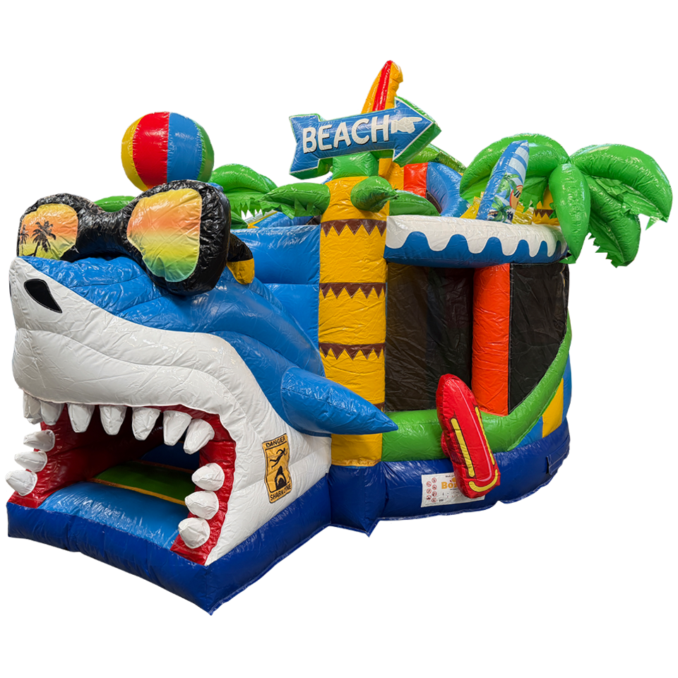 Twist N Slide Surfing Haai