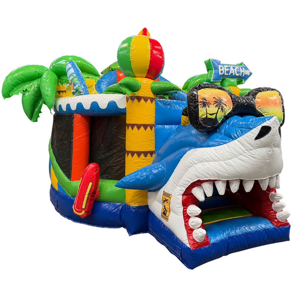 Twist N Slide Surfing Haai