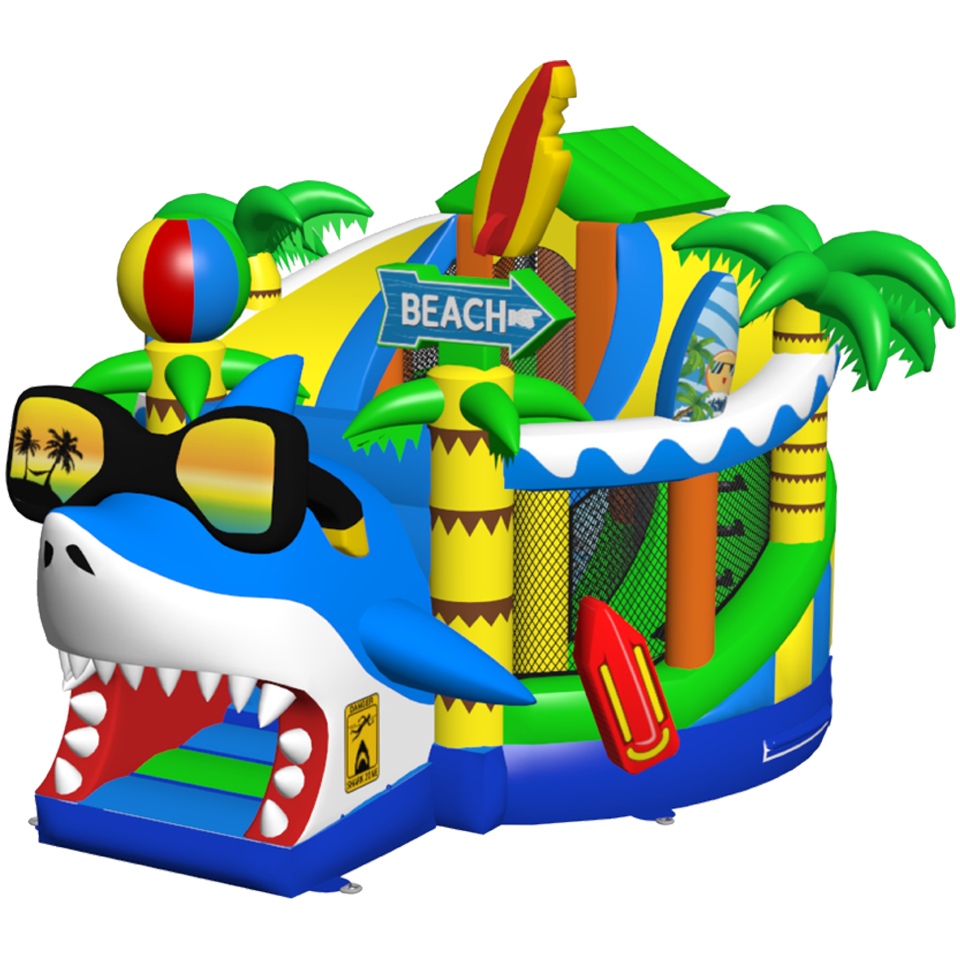 Twist N Slide Surfing Haai