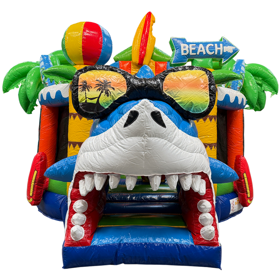 Twist N Slide Surfing Haai