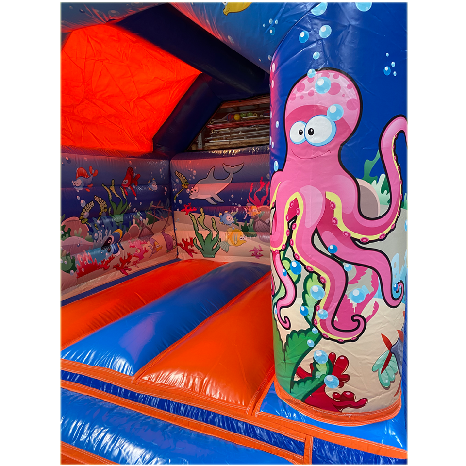 Gros plan sur la pieuvre