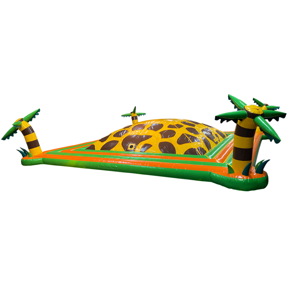 Giraffe Air Mountain