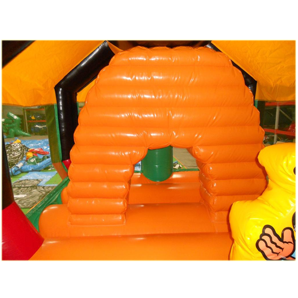 Insect Bij