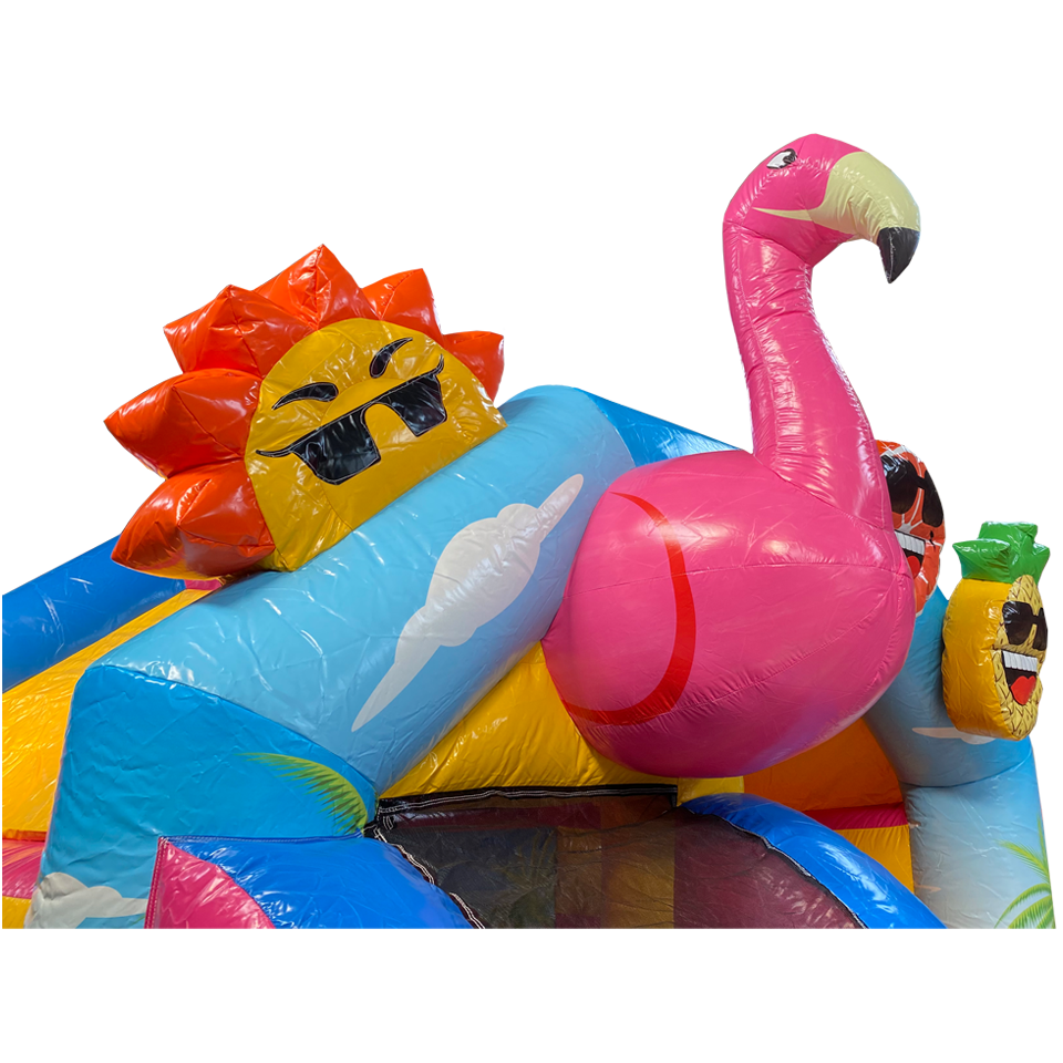 Gros plan sur le flamant rose et le soleil