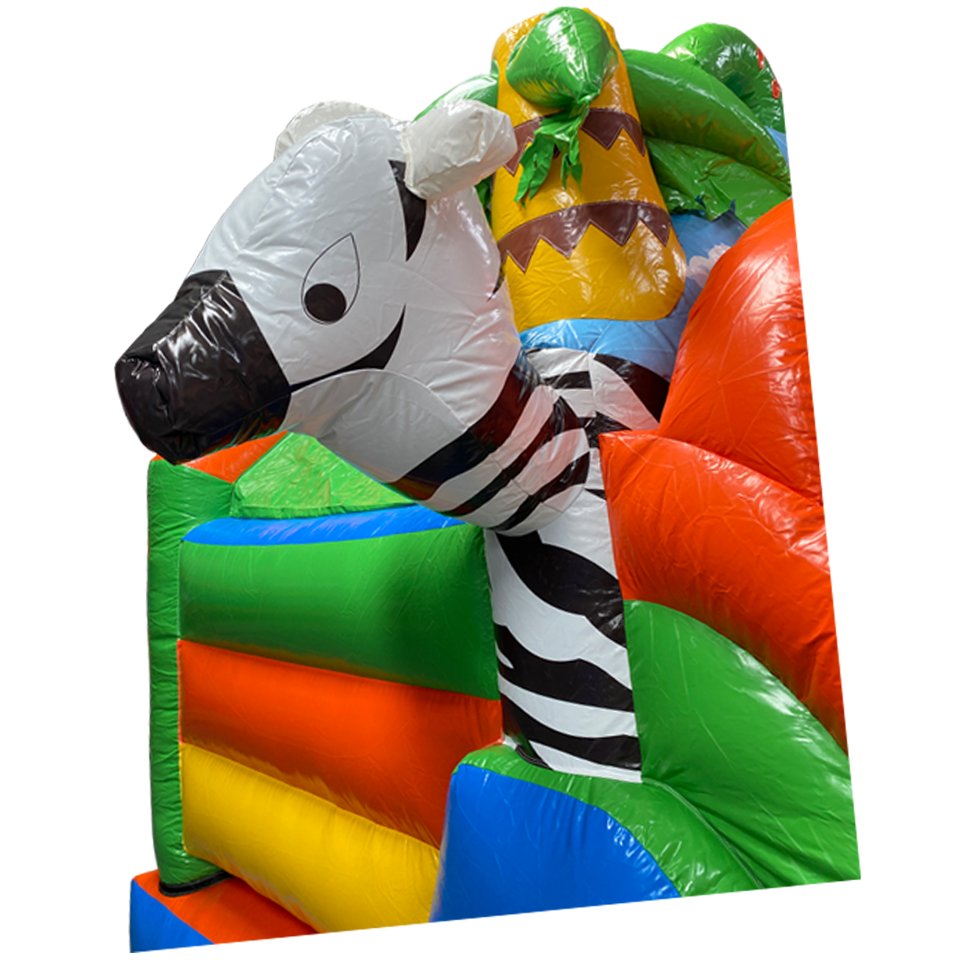 Gros plan sur le zèbre