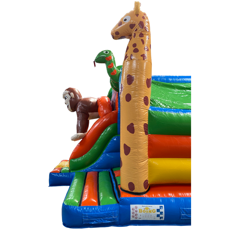 Gros plan sur une longue girafe