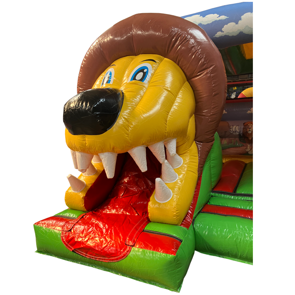 Close up lion SLIDE