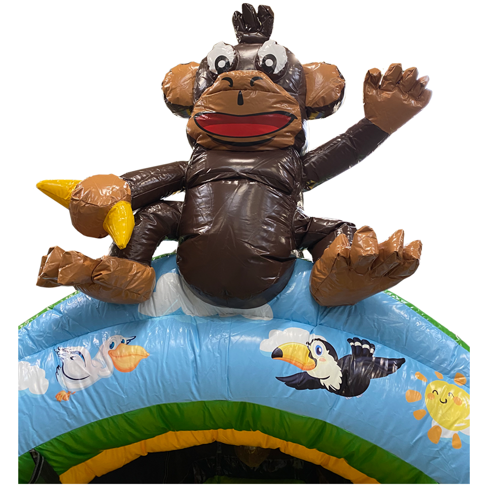 Curve Bounce N Slide Aap