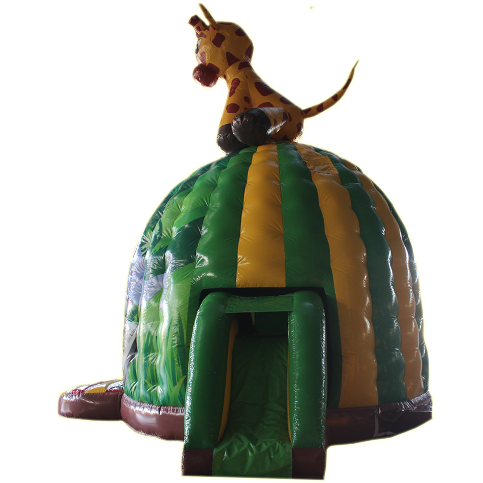 Disco Midi Giraf met Glijbaan