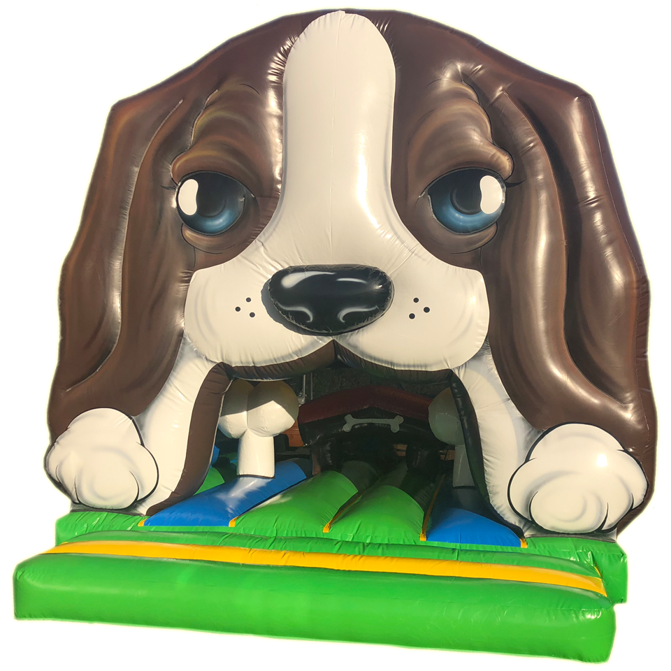 Front Play Midi Hond