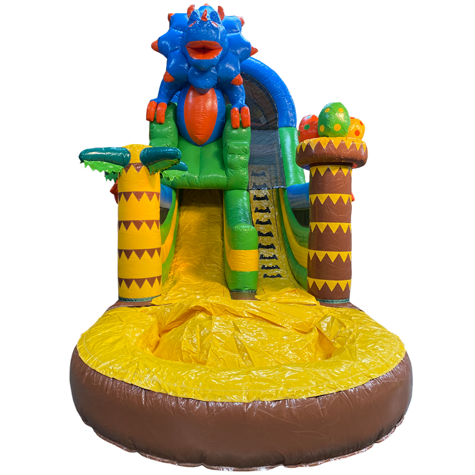 Small Dinosaur Slide