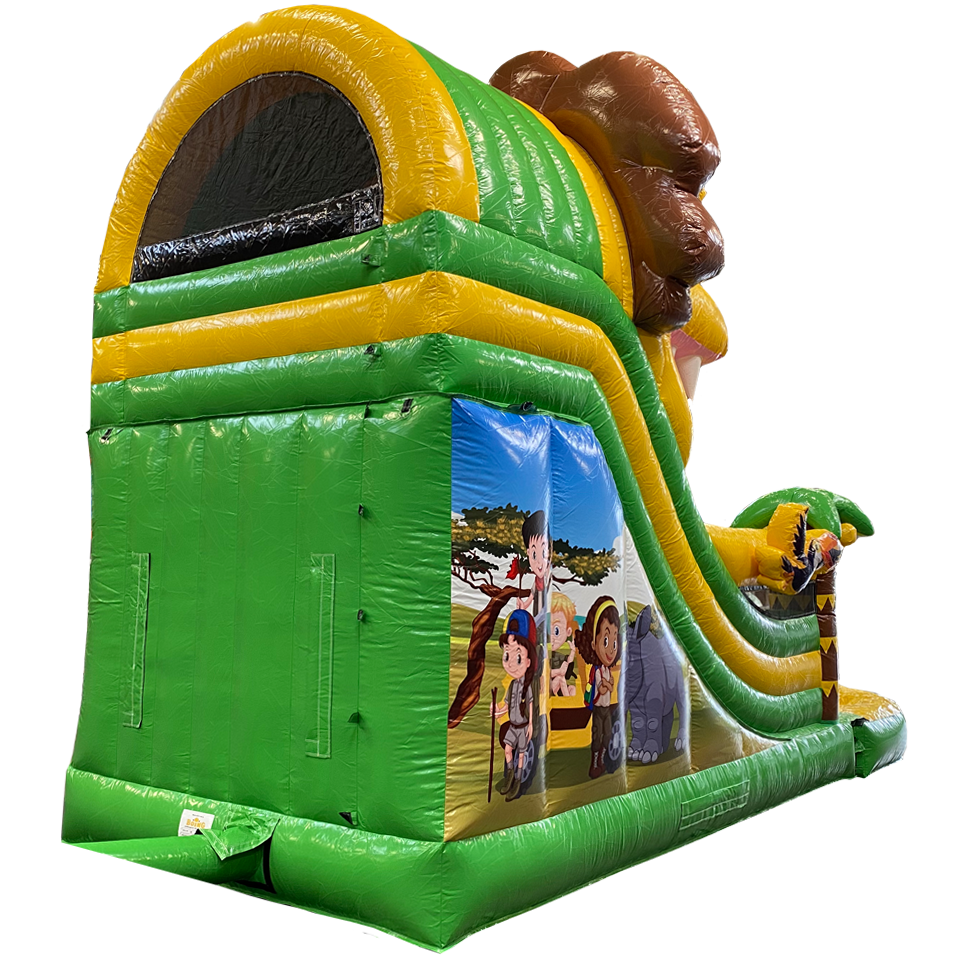 Small Lion Slide