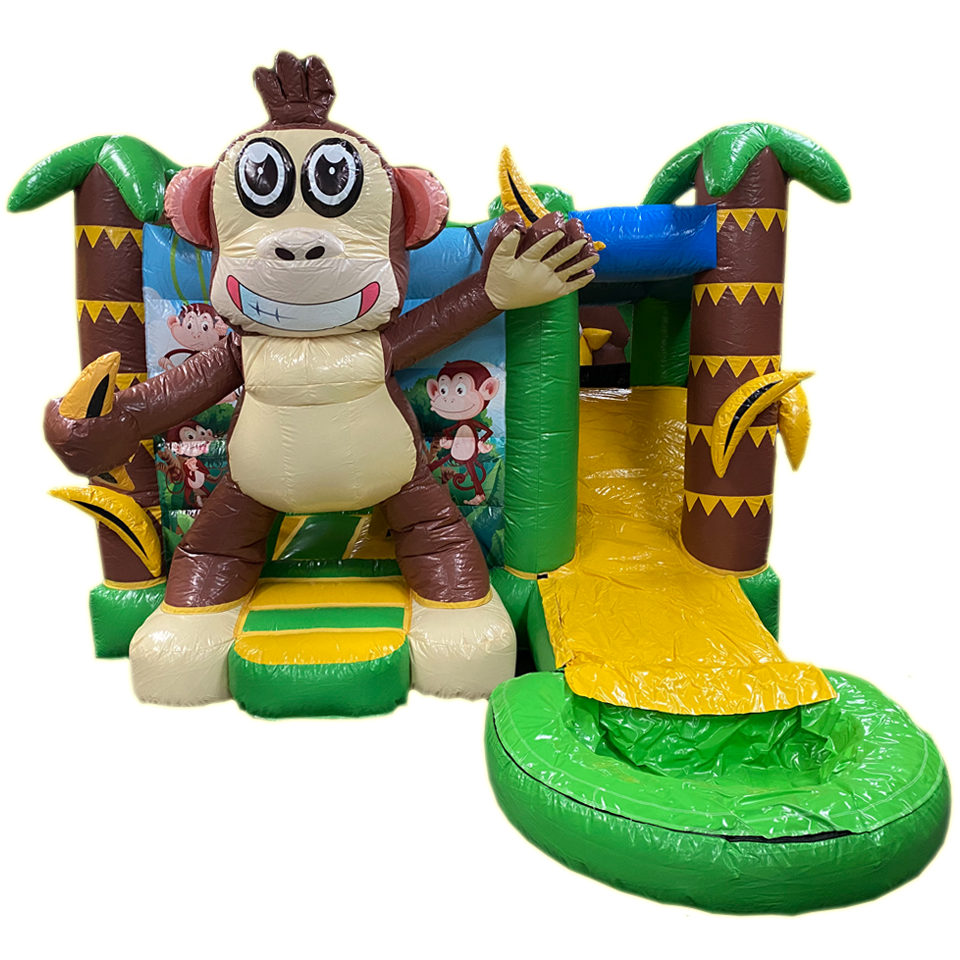 Mini Aap Springkasteel