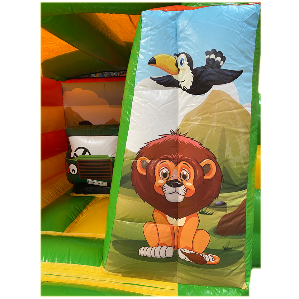 Gros plan sur le lion