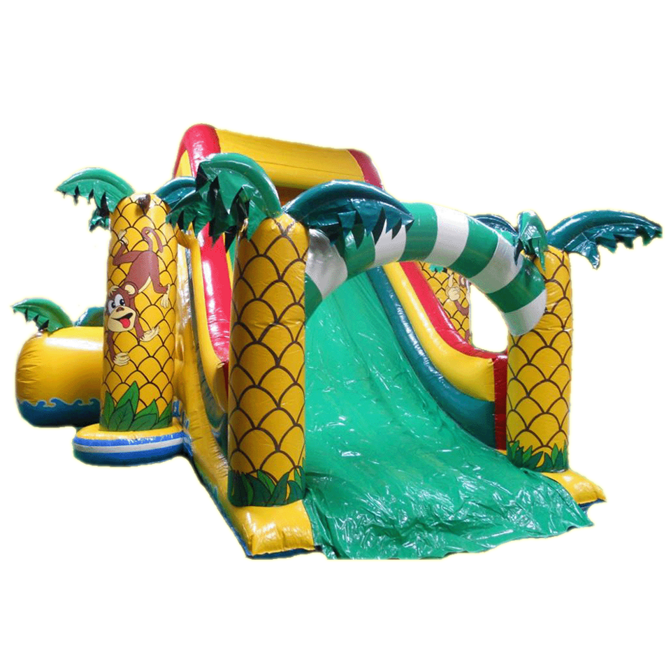 Glijbaan Tropicana