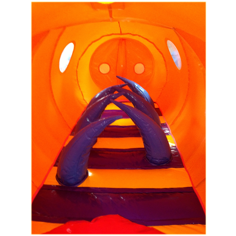 Tunnel Draak