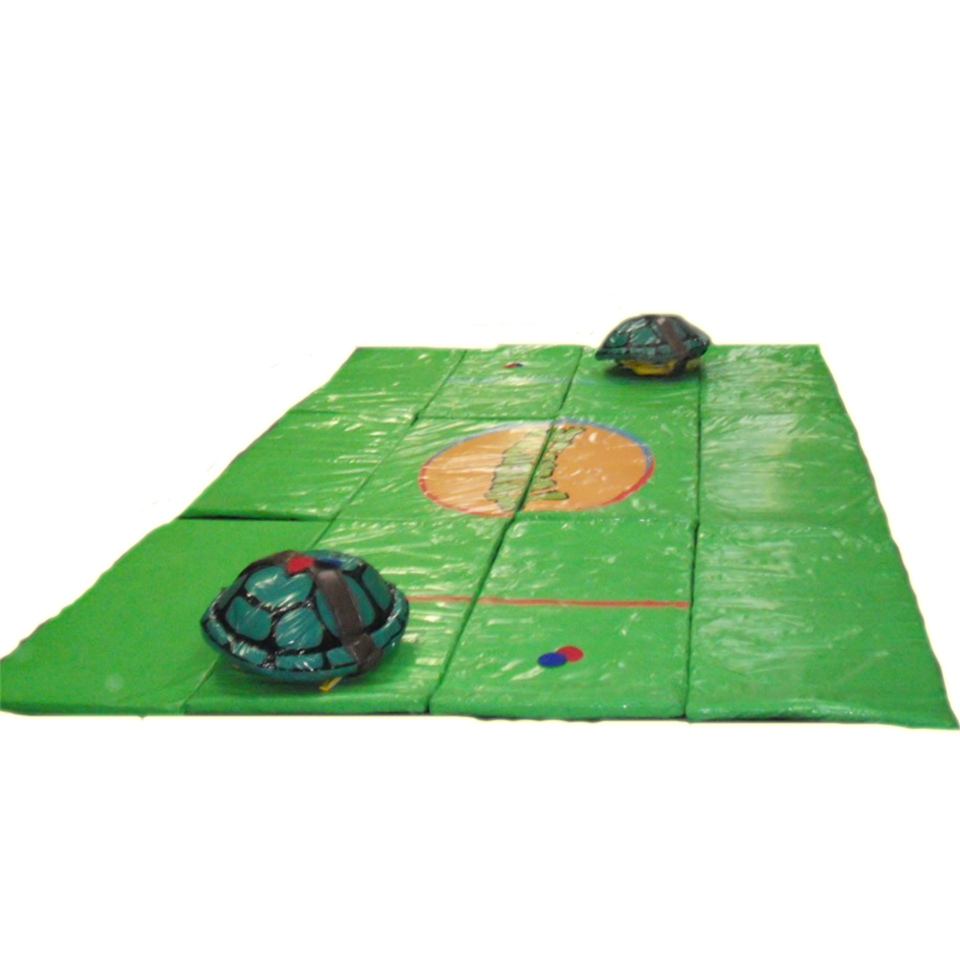 Turtle Sumo Set